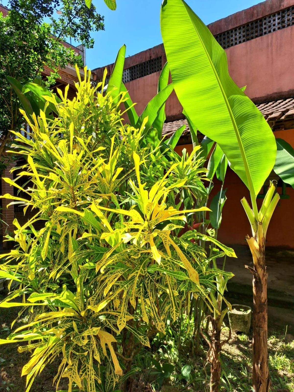 Casa Costa Verde-Muriqui Vila Muriqui Exterior photo